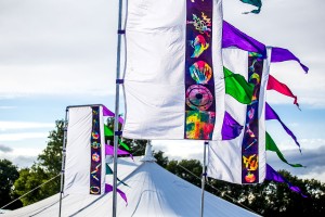 Vividly coloured flags